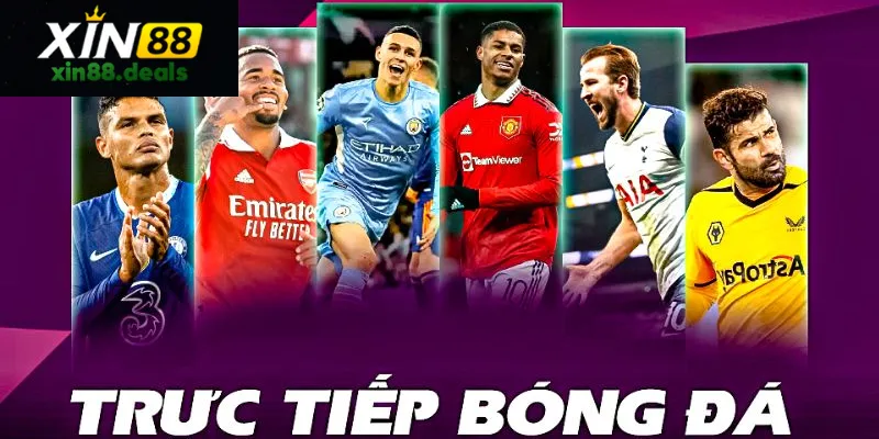 Phát sóng trực tiếp các trận đấu